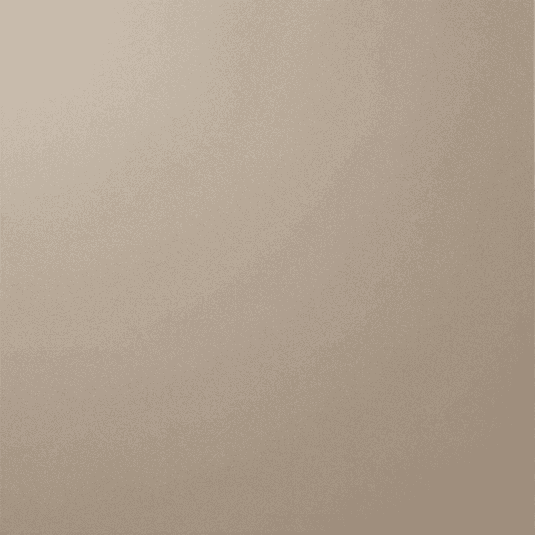Taupe Précieux